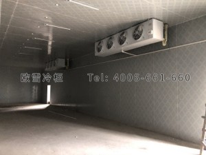 安?？h城關(guān)生豬定點(diǎn)屠宰廠肉類冷藏冷凍冷庫安裝