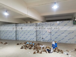 東莞東城區(qū)食品冷藏冷庫(kù)安裝案例